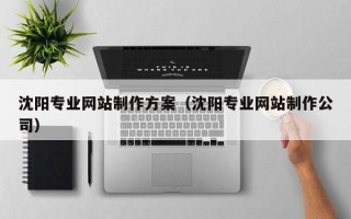 肇东沈阳专业网站制作方案（沈阳专业网站制作公司）